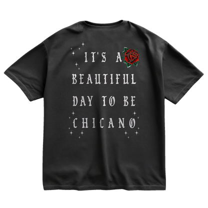 It's A Beautiful Day