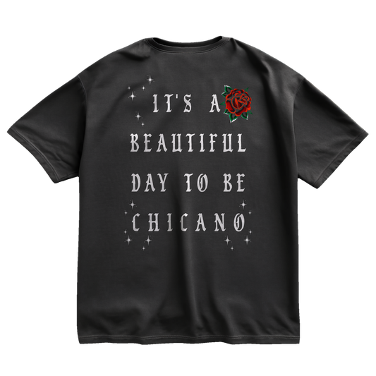 It's A Beautiful Day